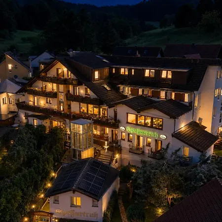 Spessartruh Hotel 3*